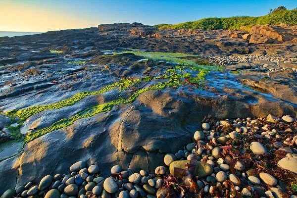 Canada-Nova Scotia Rocky shoreline along Bay of Fundy